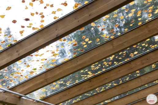Листья на стеклянном навесе