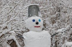 Снеговик в конкурсе не участвует :)